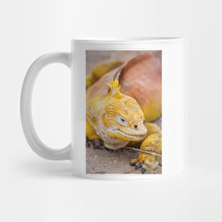 Galapagos land iguana (Conolophus subcristatus) Mug